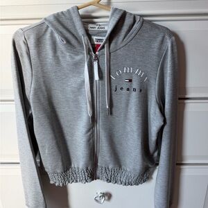 Tommy Hilfiger Light Gray Zip-Up Hoodie